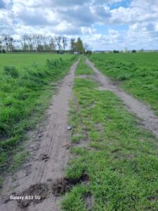 Grafika dekoracyjna porady: Agricultural property and residential purposes in Poland